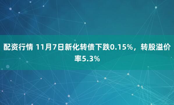 配资行情 11月7日新化转债下跌0.15%,转股溢价率5.3%